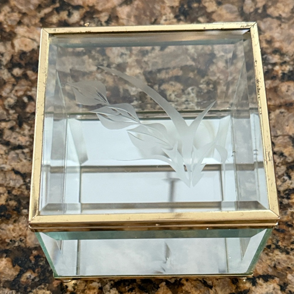 Etched Glass and Brass Lidded Jewelry Box/Trinket Box Unique Glass all sides